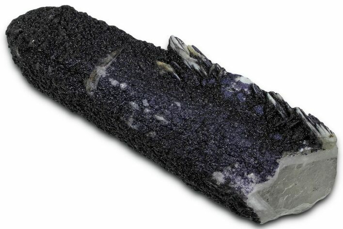 Dark Purple Fluorite Encrusted Quartz Crystal - New Find! #350669